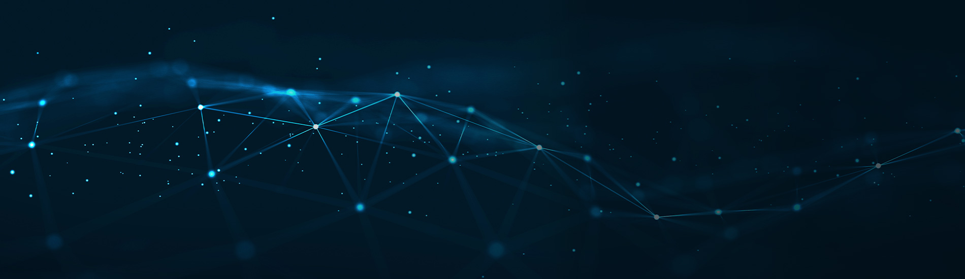 network design 